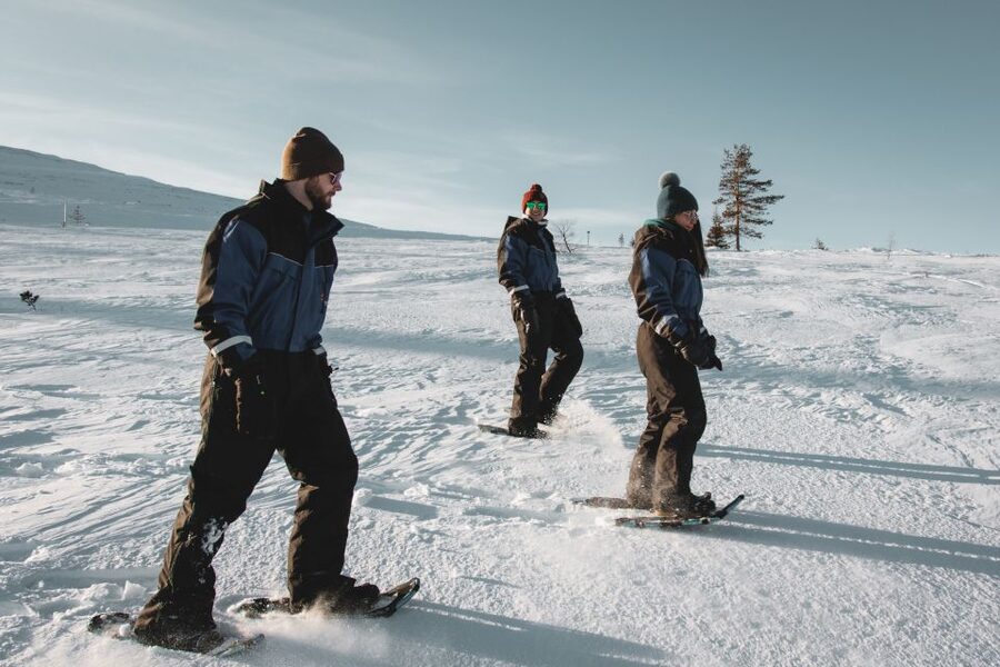Saariselkä: Scenic Snowshoe Safari - Getting Moving in Saariselkä’s Arctic Winter, the Right Way