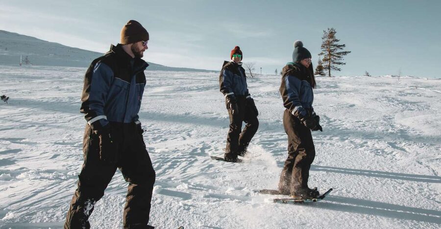 Saariselkä: Scenic Snowshoe Safari - The Route: Walking Paths, Deep Snow, and Wildlife Clues