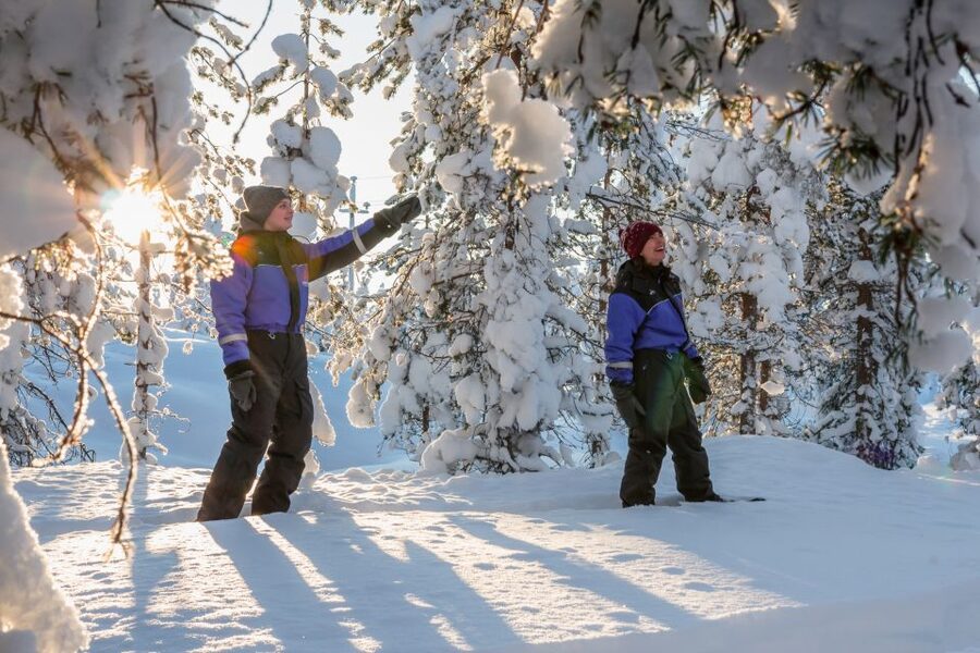 Saariselkä: Scenic Snowshoe Safari - Price and Value: Is $96 Fair for What You Get?