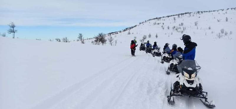 Saariselka: Snowmobile Safari on Tundra with BBQ - Safety and Rules: What You Must Know Before You Go