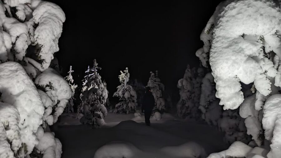 Saariselkä: Snowshoeing Tour in Urho Kekkonen National Park - Key points to know before you go