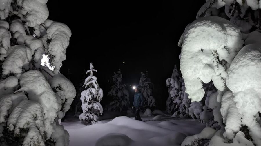 Saariselkä: Snowshoeing Tour in Urho Kekkonen National Park - Who this is best for in Saariselkä