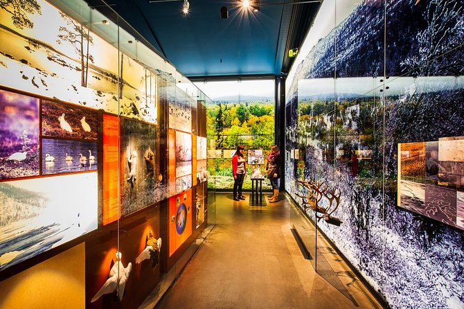Sámi Village Inari and Siida Museum by Car - Key things to know before you go