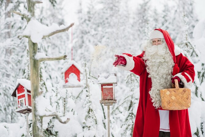 Santa Claus Combo: Visit Santa Claus Village and Santa Park in One Day - Morning Pickup and a Guided Start in Rovaniemi