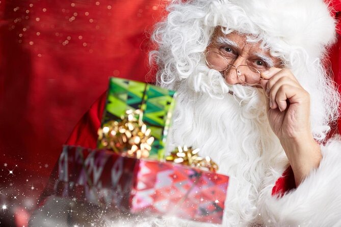 Santa Claus Village Guided Tour & Arctic Animals Adventure - Key highlights to know before you go
