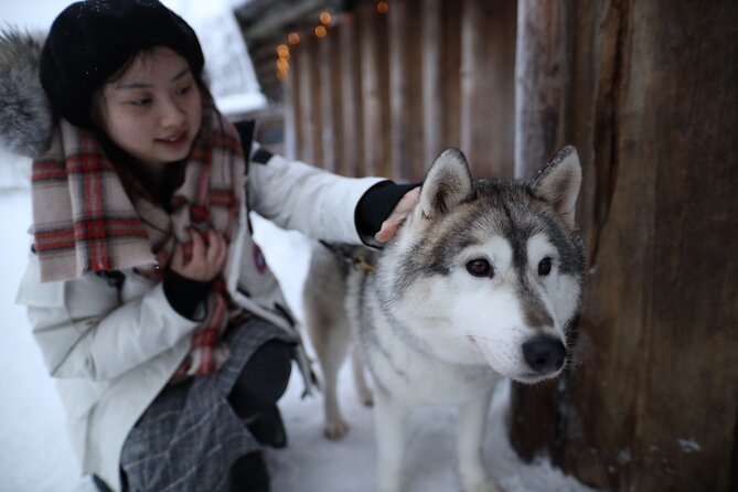 Santa Claus Village, Husky and Reindeers Combo Safari - Price and Value, When This Combo Feels Fair and When It Doesn’t