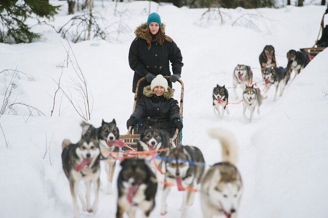 Santa's Reindeer & Husky Safari + Aurora BBQ in Rovaniemi - Aurora BBQ in a Kota: sausages, hot tea, and marshmallows by the fire
