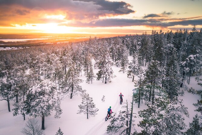 Scenic electric fat bike group ride in Rovaniemi - Ounasvaara Winter Trail: Trails Chosen for Your Skills