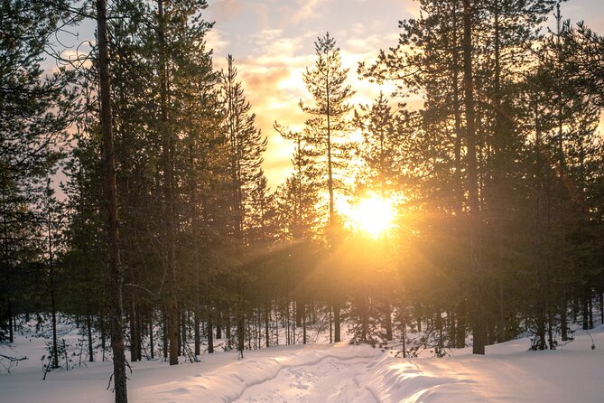 Scenic electric fat bike group ride in Rovaniemi - Included Gear and Dressing Tips That Actually Matter in Snow