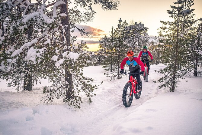 Scenic electric fat bike group ride in Rovaniemi - Pace, Group Size, and Why Small Feels Better on Snow