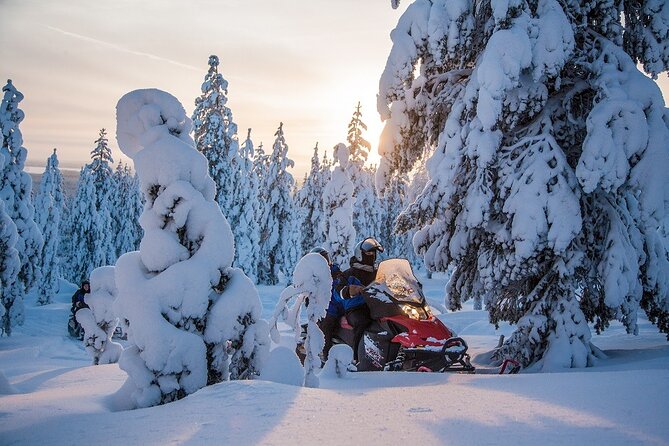 Scenic Snowmobile Safari in Saariselkä - Price and timing: is $158.97 worth it for 2 hours?