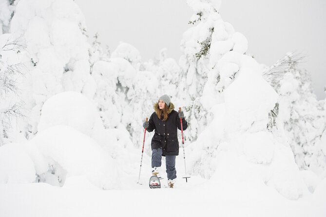 Scenic Snowshoeing on the Top of Pyhä Fell - A Tour That Can Flex: Why Tailoring Is a Plus