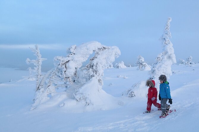 Scenic Snowshoeing on the Top of Pyhä Fell - Price and Value: Is $128.84 Worth It?