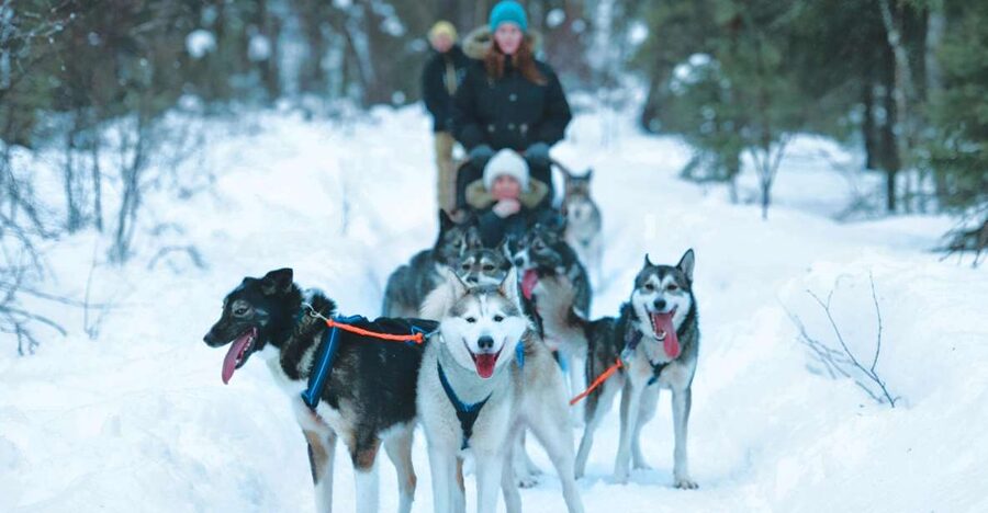 Sirkka: Husky Sled Ride in Levi 2km or 5 km from Levi - Sirkka to Levi: How the Timing and Transport Usually Feel