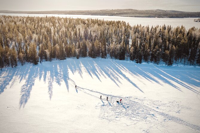 Ski Trekking Safari in Lapland - Private Tour Comfort: Avoid Crowds Without Giving Up Quality