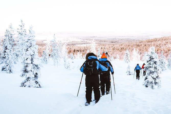 Ski Trekking Safari in Lapland - Safety, Guide Skills, and How You Can Make It Go Smoothly