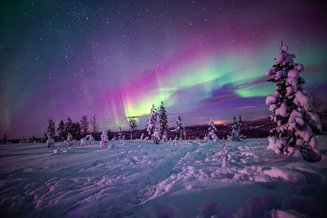 Ski Trekking under the Northern Lights - Key highlights if you want the good stuff