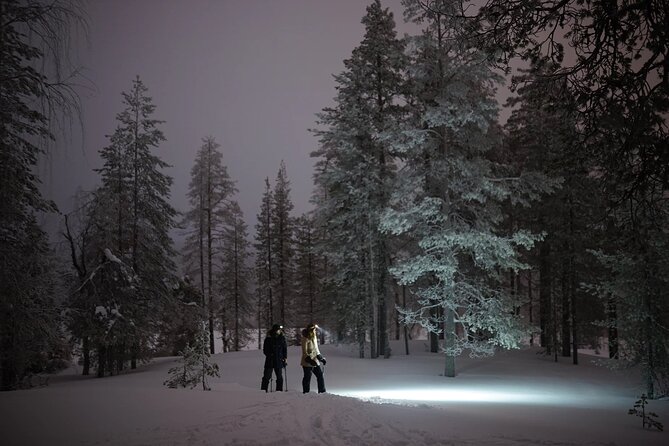 Ski Trekking under the Northern Lights - Campfire snacks, hot drinks, and Arctic lessons that go beyond the photos