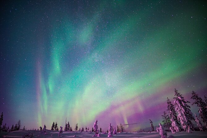 Ski Trekking under the Northern Lights - Food and drink by the fire, including Finnish comfort snacks
