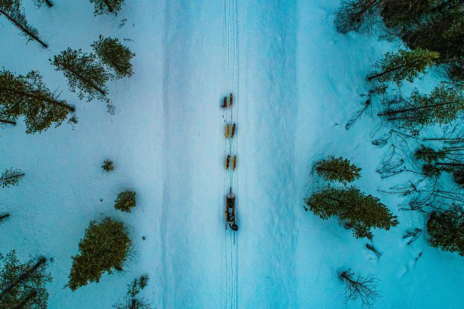 Small-Group Husky Mushing Experience in Rovaniemi - Price and value: is $277.05 worth it?