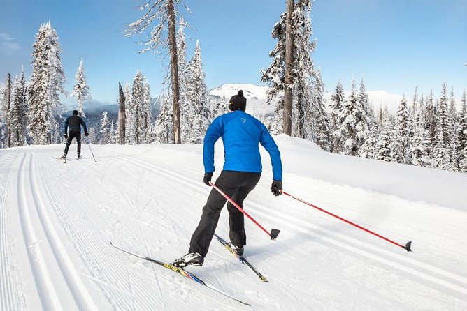 Small-Group Lapland Cross Country Ski - Why Cross-Country Skiing Feels Like the Real Finland in Rovaniemi