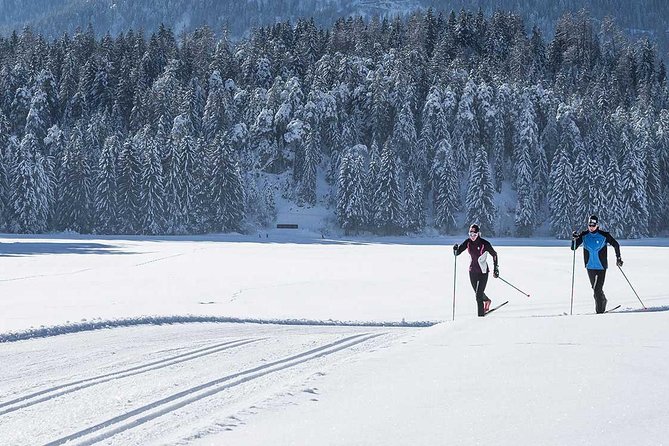 Small-Group Lapland Cross Country Ski - What You Actually Get for the Price (and Why It’s Fair)