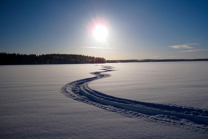 Small Group: Snowmobile Safari from Riverside Lodge 3h - Price and Value: Is $174.03 Worth It?