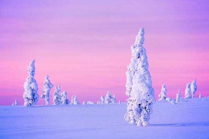 Snowmobile and Ice Fishing Experience - Stop 2: Ice fishing on the frozen lake, drilling your own hole