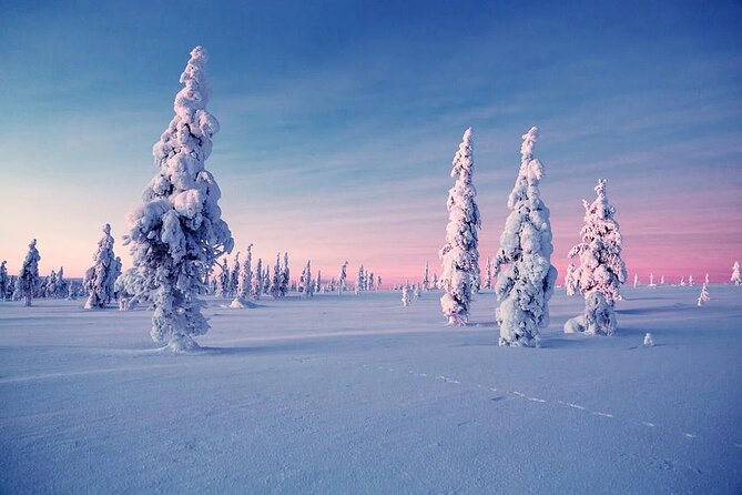 Snowmobile and Ice Fishing Experience - Should you book this snowmobile and ice-fishing tour in Rovaniemi?