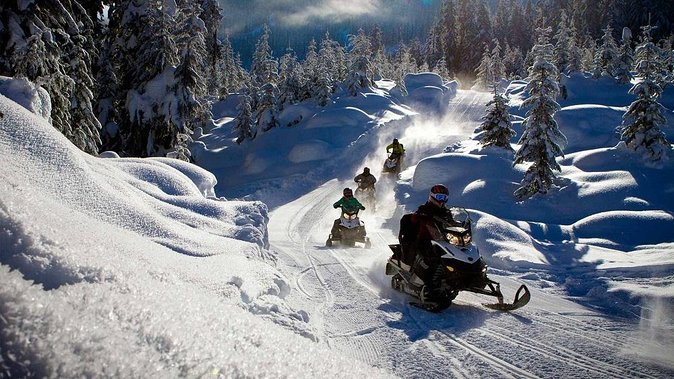 Snowmobile & Animals Day Tour - What the Snowmobile, Reindeer, and Huskies Day Tour Really Delivers