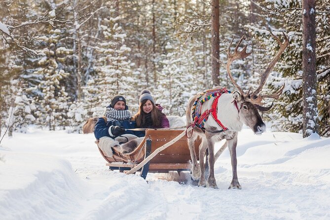 Snowmobile & Animals Day Tour - Snowmobile Time: The Main Event Through Snowy Forests