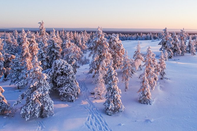 Snowmobile Driving - Morning start - Guides, language, and what to do if you need Italian or another language
