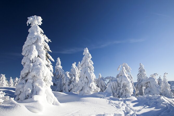 Snowmobile Safari 2h - Key Points You’ll Care About