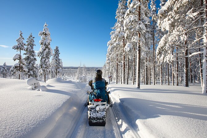 Snowmobile Safari 2h - Riding The Frozen River Into The Forest
