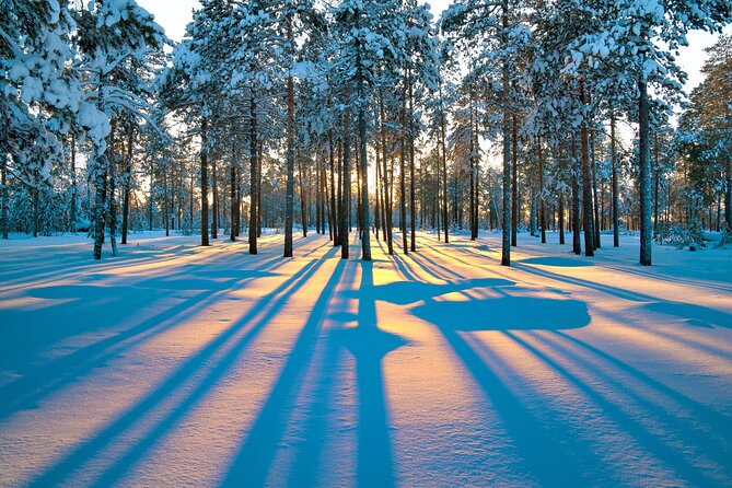 Snowmobile Safari 2h - Two-Person Snowmobiles And Pace You Can Influence