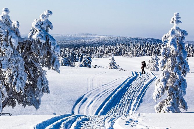 Snowmobile Safari in the Forest - Quick Hits You’ll Actually Care About