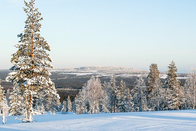 Snowmobile Safari in the Forest - From Kemi Pickup to Kätkävaara Mountain Briefing