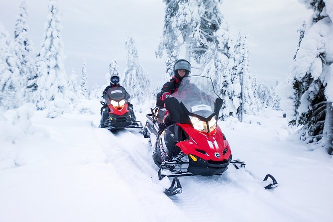 Snowmobile Safari in the Forest - Open-Fire Lunch in a Hut: Warm Fuel for the Return Trip