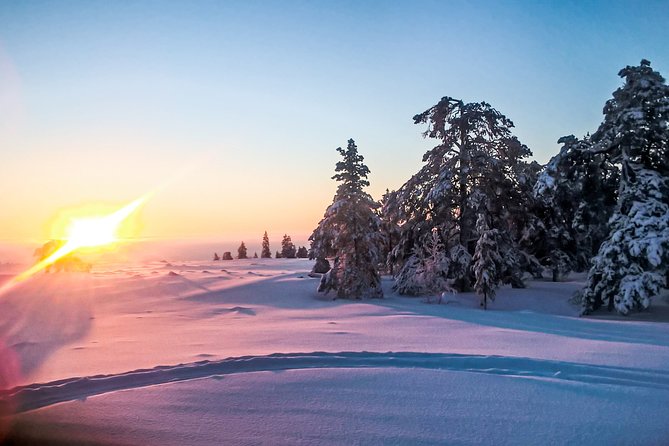 Snowmobile Safari in the Nature - Warm breaks: hot chocolate, coffee, tea, and snacks