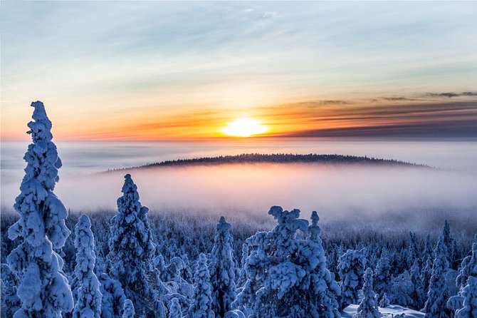 Snowmobile Safari in the Nature - Pickup, transport, and why logistics can make or break winter fun