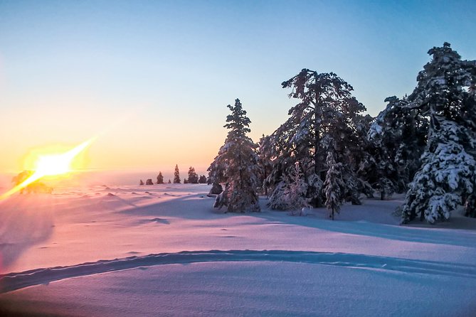 Snowmobile Safari in the Nature - Morning start - How this morning Lapland safari actually feels