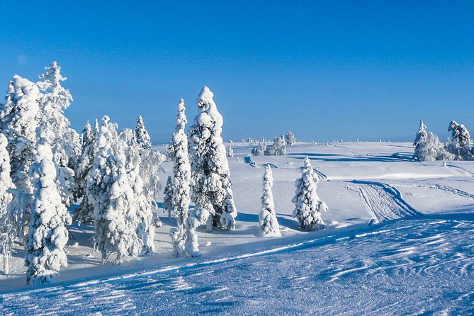 Snowmobile Safari in the Nature - Morning start - Stop 1: Lapland Welcome and the moment the ride starts