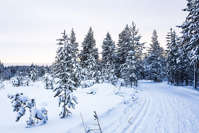 Snowmobile Safari in the Nature - Morning start - The guide experience: pace, clarity, and group fit