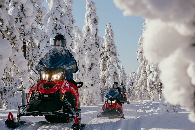 Snowmobile Safari into the Arctic Circle Forest - Key highlights you should care about