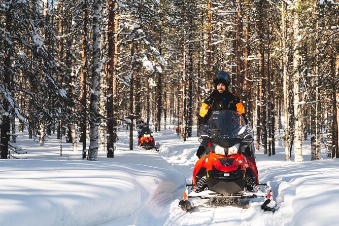 Snowmobile Safari into the Arctic Circle Forest - Entering the Arctic forest on a 2-hour snowmobile loop
