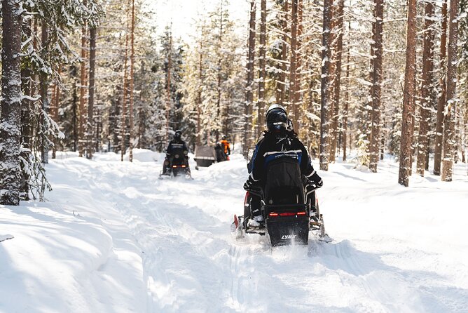 Snowmobile Safari into the Arctic Circle Forest - Who should book this snowmobile safari, and who might rethink it