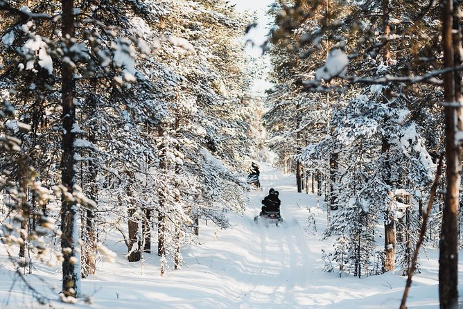 Snowmobile Safari into the Arctic Circle Forest - The gear package that makes or breaks the cold