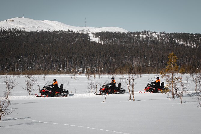 Snowmobile Safari into the Nature in Levi - Price and Value: what $152.63 buys you in real terms