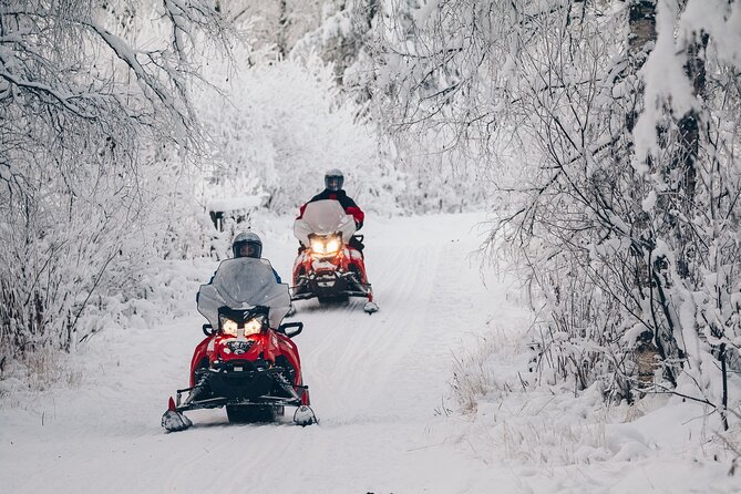 Snowmobile Safari into the Wilderness, Apukka Resort Rovaniemi - The snowmobile safari itself: shared-guide pacing and what to expect from the route