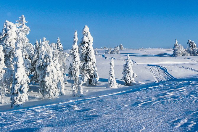 Snowmobile Safari on the Tundra - Getting There: Lapland Welcome, Pickup, and Schedule Choices